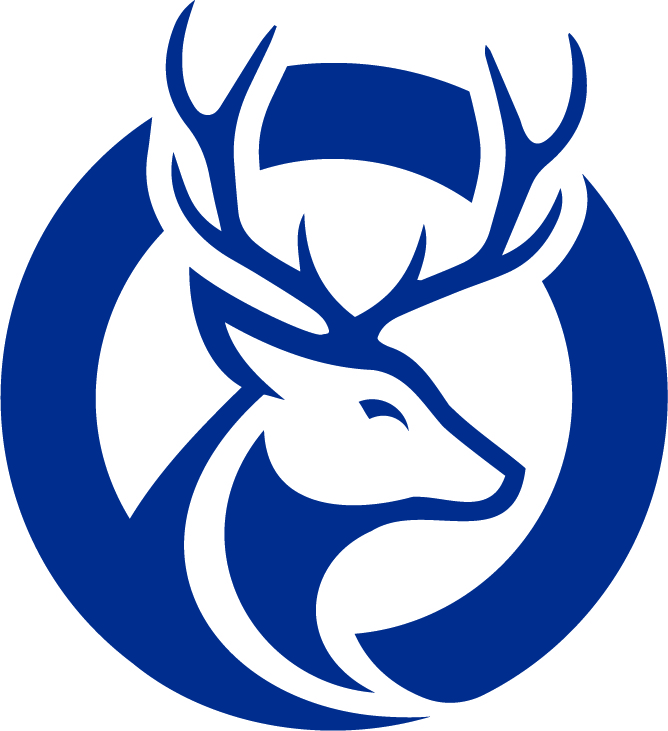 Staig Icon Final